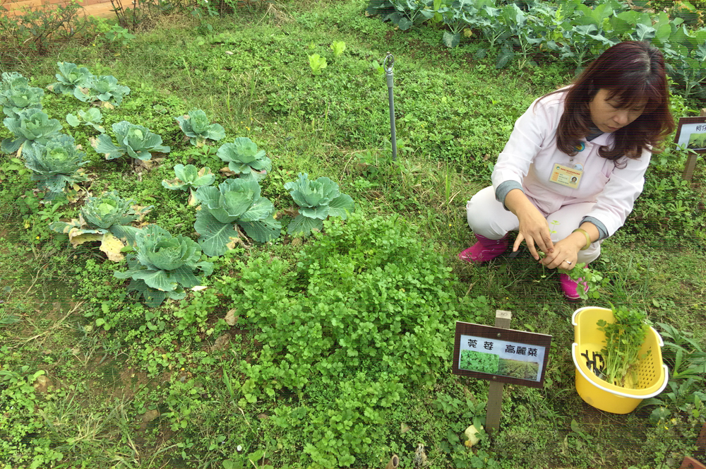 相片 2017-1-6 下午12 03 51